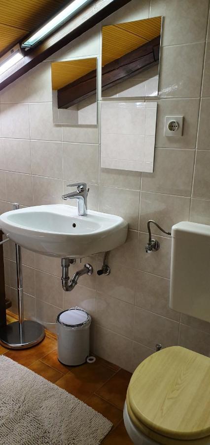 Apartment Slavi Vipava Eksteriør billede
